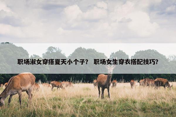 职场淑女穿搭夏天小个子？ 职场女生穿衣搭配技巧？