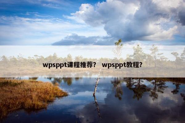 wpsppt课程推荐？ wpsppt教程？