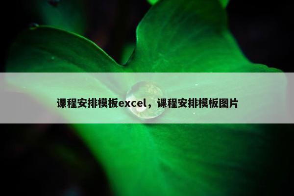 课程安排模板excel，课程安排模板图片
