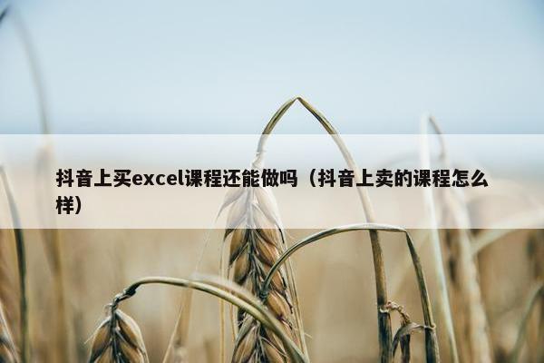 抖音上买excel课程还能做吗（抖音上卖的课程怎么样）