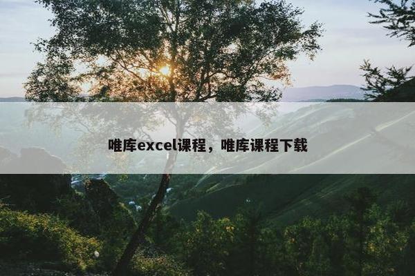 唯库excel课程，唯库课程下载