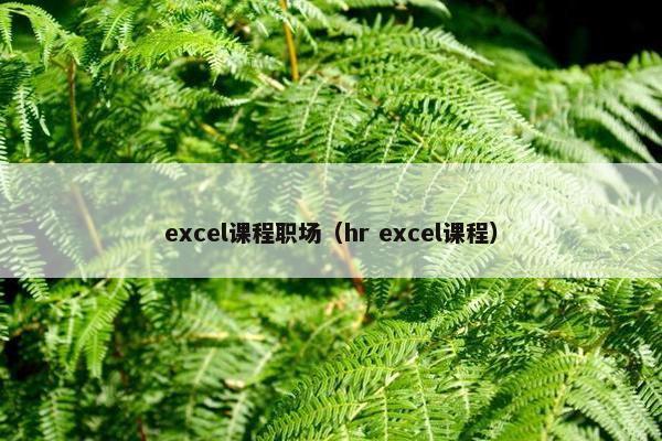 excel课程职场（hr excel课程）