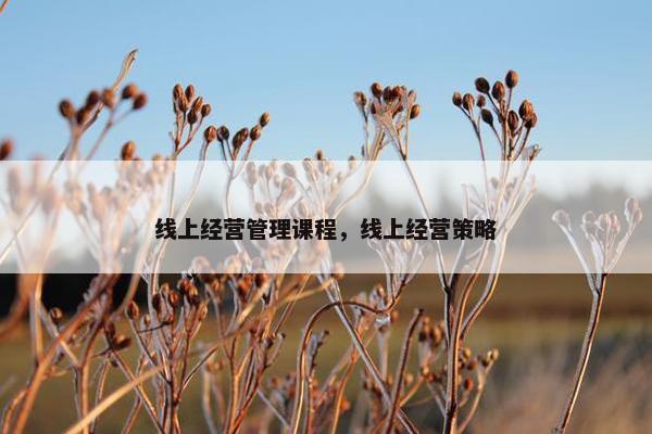 线上经营管理课程，线上经营策略
