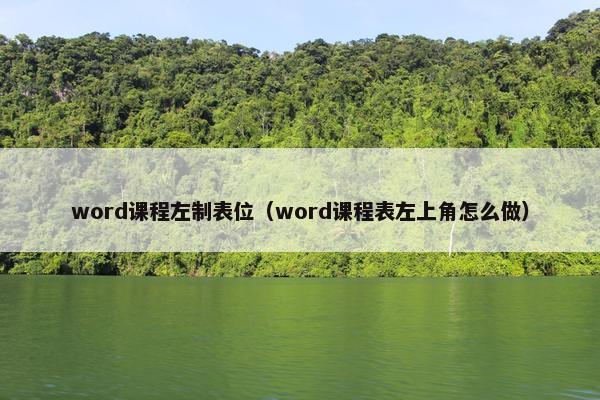 word课程左制表位（word课程表左上角怎么做）