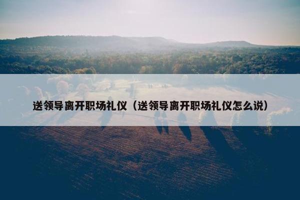 送领导离开职场礼仪（送领导离开职场礼仪怎么说）