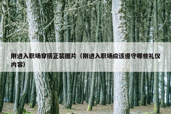 刚进入职场穿搭正装图片（刚进入职场应该遵守哪些礼仪内容）