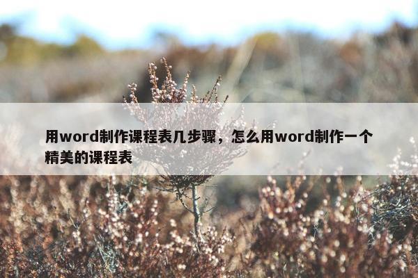 用word制作课程表几步骤，怎么用word制作一个精美的课程表