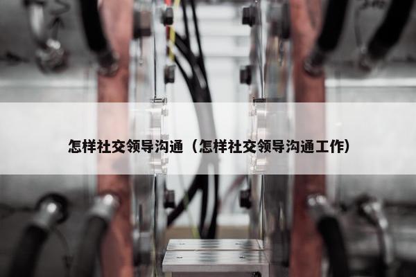 怎样社交领导沟通（怎样社交领导沟通工作）