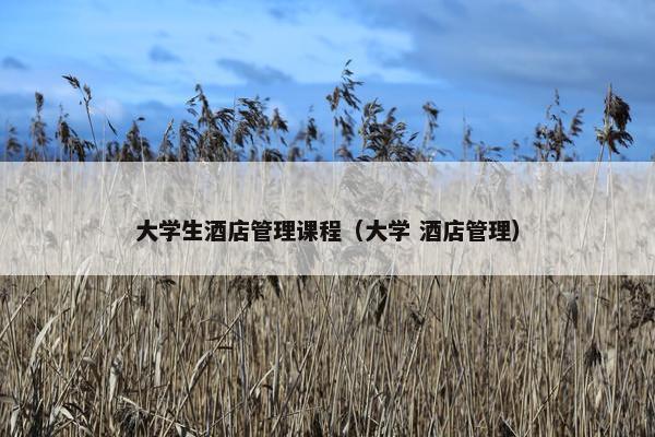 大学生酒店管理课程（大学 酒店管理）