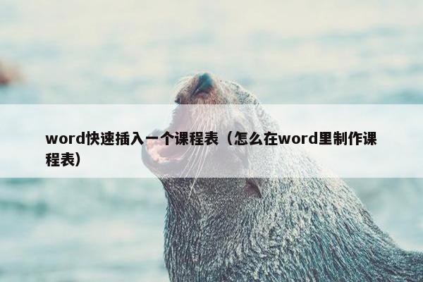 word快速插入一个课程表（怎么在word里制作课程表）