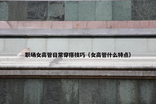 职场女高管日常穿搭技巧（女高管什么特点）