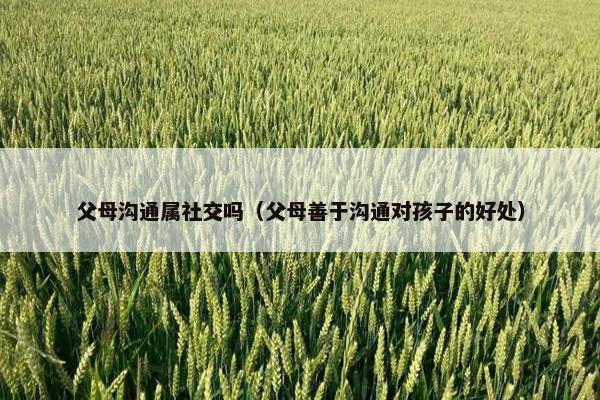 父母沟通属社交吗（父母善于沟通对孩子的好处）