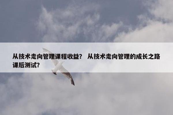 从技术走向管理课程收益？ 从技术走向管理的成长之路课后测试？