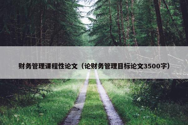财务管理课程性论文（论财务管理目标论文3500字）