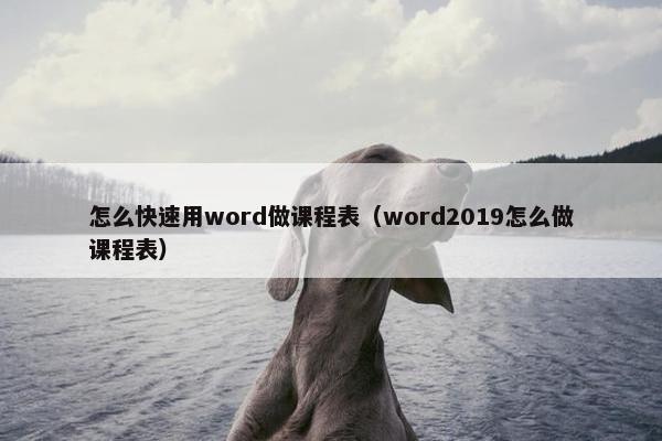怎么快速用word做课程表（word2019怎么做课程表）