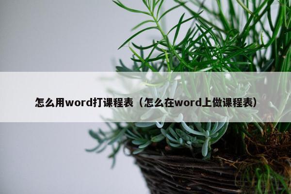 怎么用word打课程表（怎么在word上做课程表）