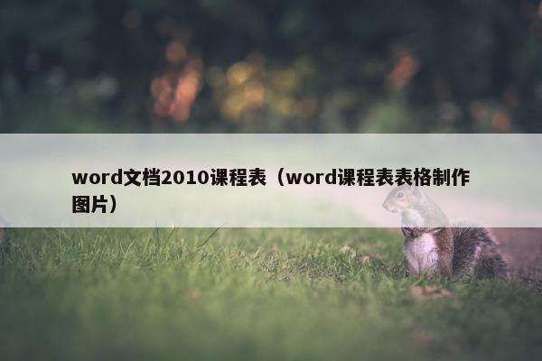 word文档2010课程表（word课程表表格制作图片）