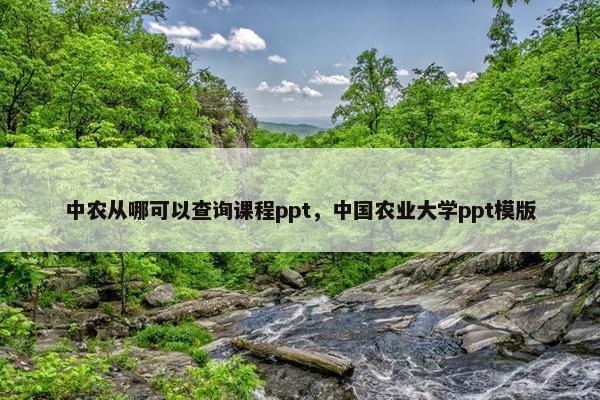 中农从哪可以查询课程ppt，中国农业大学ppt模版