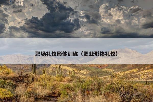 职场礼仪形体训练（职业形体礼仪）