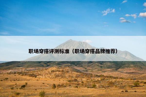 职场穿搭评测标准（职场穿搭品牌推荐）