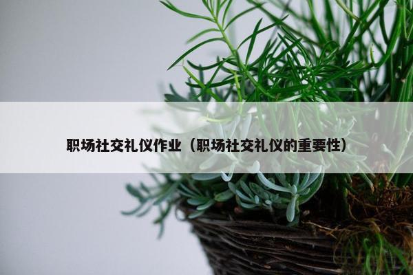 职场社交礼仪作业（职场社交礼仪的重要性）