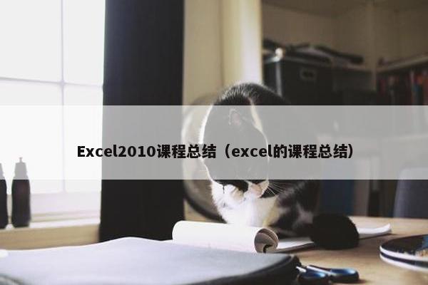 Excel2010课程总结（excel的课程总结）