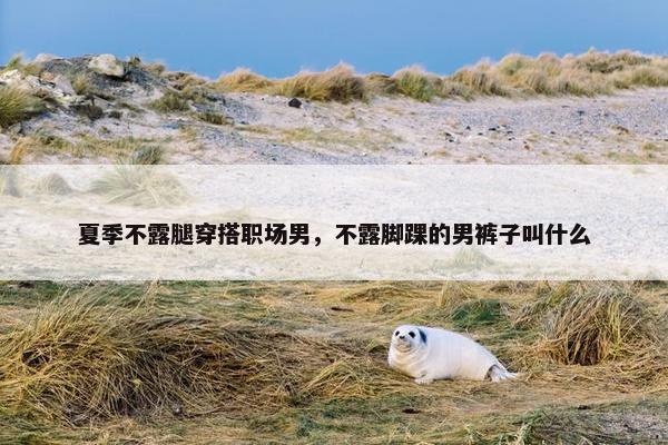 夏季不露腿穿搭职场男，不露脚踝的男裤子叫什么