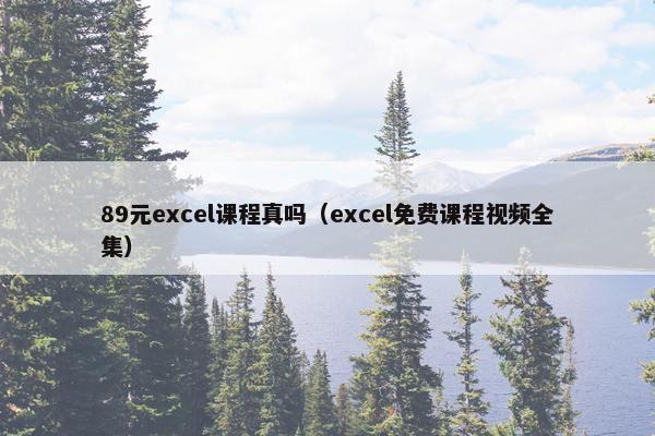 89元excel课程真吗（excel免费课程视频全集）