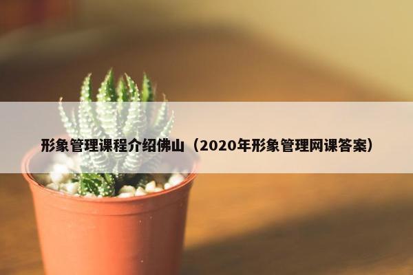 形象管理课程介绍佛山（2020年形象管理网课答案）