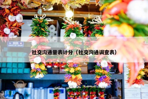 社交沟通量表计分（社交沟通调查表）