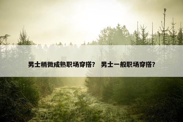 男士稍微成熟职场穿搭？ 男士一般职场穿搭？
