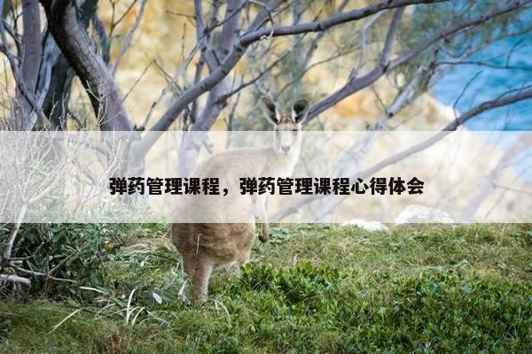 弹药管理课程，弹药管理课程心得体会