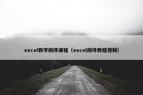 excel教学排序课程（excel排序教程视频）