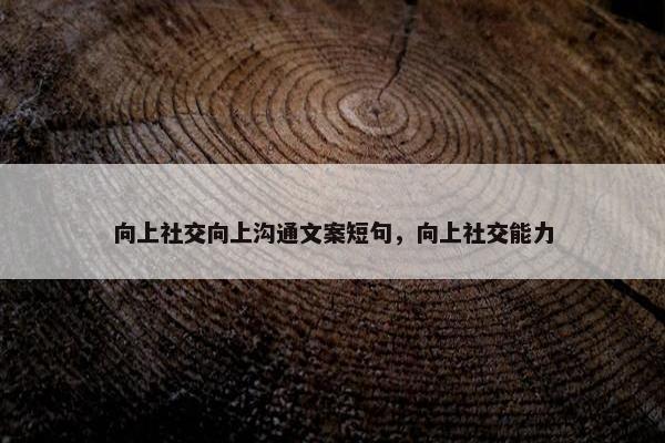 向上社交向上沟通文案短句，向上社交能力