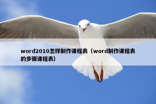 word2010怎样制作课程表（word制作课程表的步骤课程表）