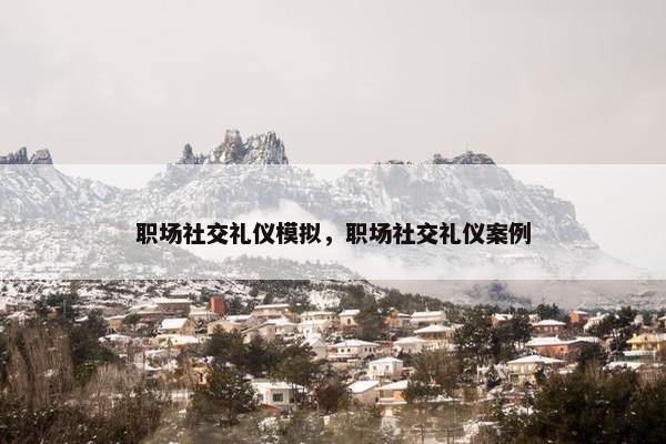 职场社交礼仪模拟，职场社交礼仪案例