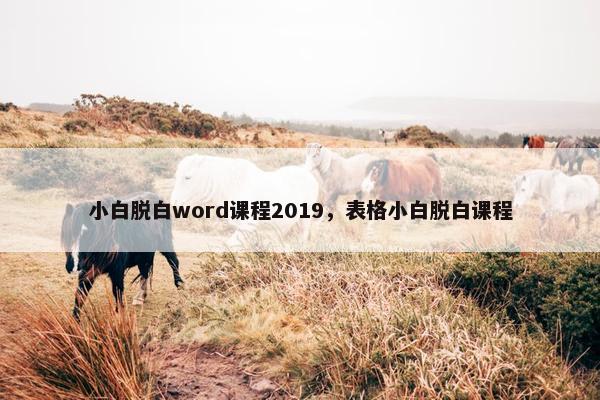 小白脱白word课程2019，表格小白脱白课程