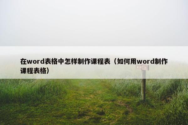 在word表格中怎样制作课程表（如何用word制作课程表格）