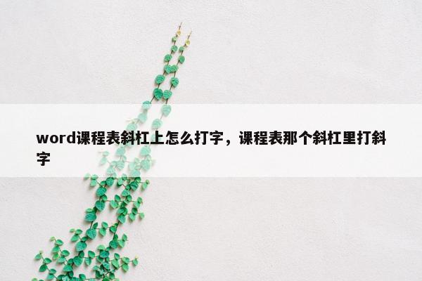 word课程表斜杠上怎么打字，课程表那个斜杠里打斜字