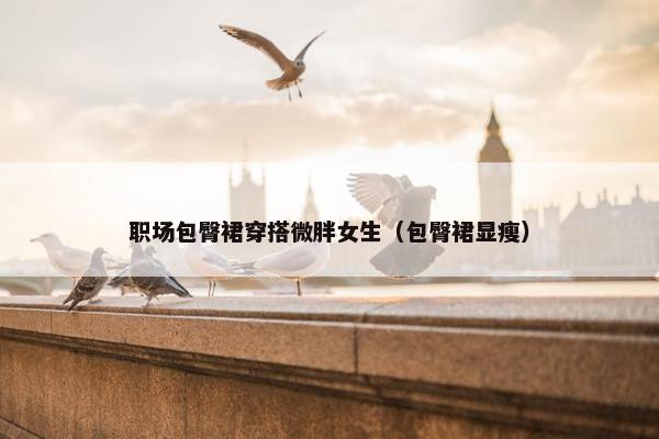 职场包臀裙穿搭微胖女生（包臀裙显瘦）