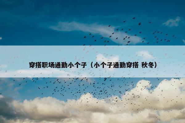 穿搭职场通勤小个子（小个子通勤穿搭 秋冬）