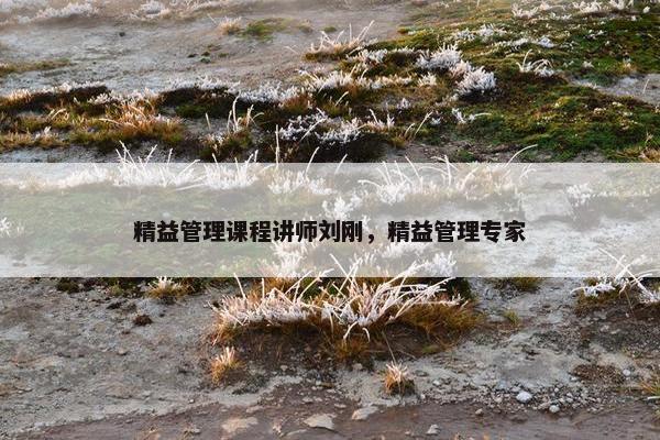 精益管理课程讲师刘刚，精益管理专家