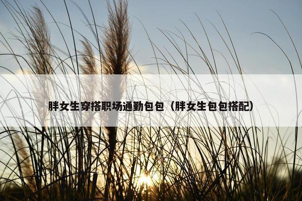 胖女生穿搭职场通勤包包（胖女生包包搭配）