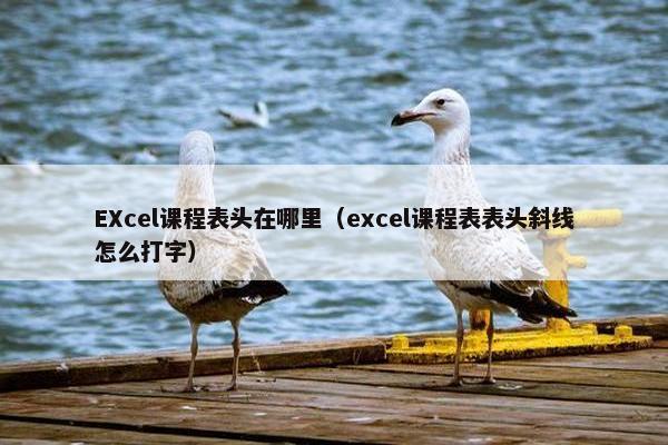 EXcel课程表头在哪里（excel课程表表头斜线怎么打字）