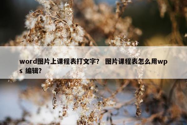 word图片上课程表打文字？ 图片课程表怎么用wps 编辑？