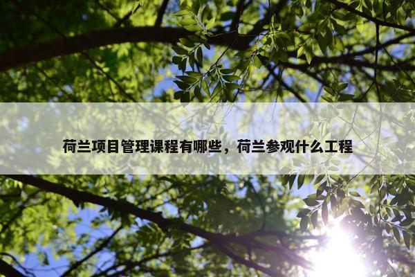 荷兰项目管理课程有哪些，荷兰参观什么工程