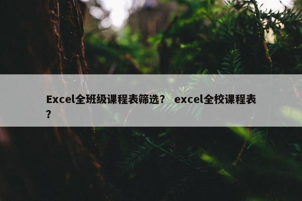 Excel全班级课程表筛选？ excel全校课程表？