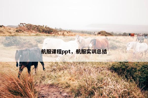 航服课程ppt，航服实训总结