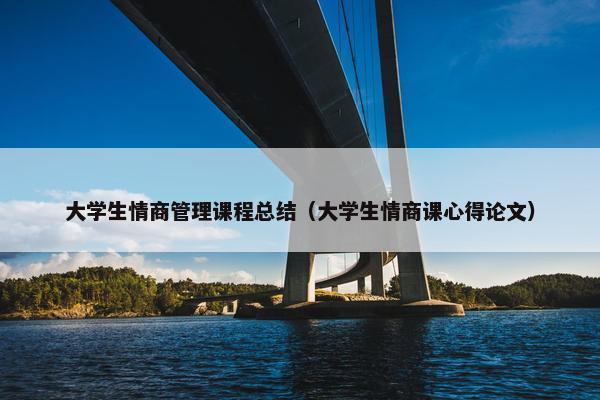 大学生情商管理课程总结（大学生情商课心得论文）