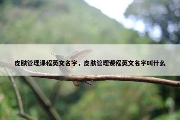 皮肤管理课程英文名字，皮肤管理课程英文名字叫什么